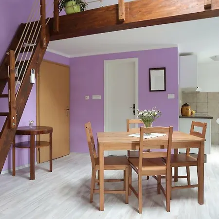 The Soca House Appartement